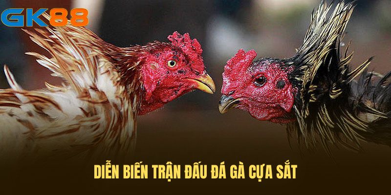 dien-bien-tran-dau-da-ga-cua-sat-gk88 