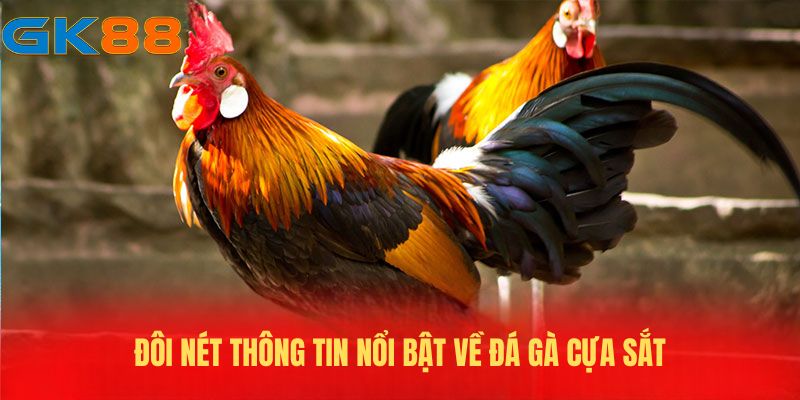 gioi-thieu-da-ga-cua-sat-gk88 