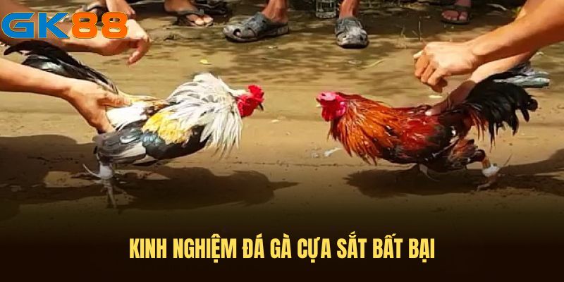 kinh-nghiem-da-ga-cua-sat-gk88 