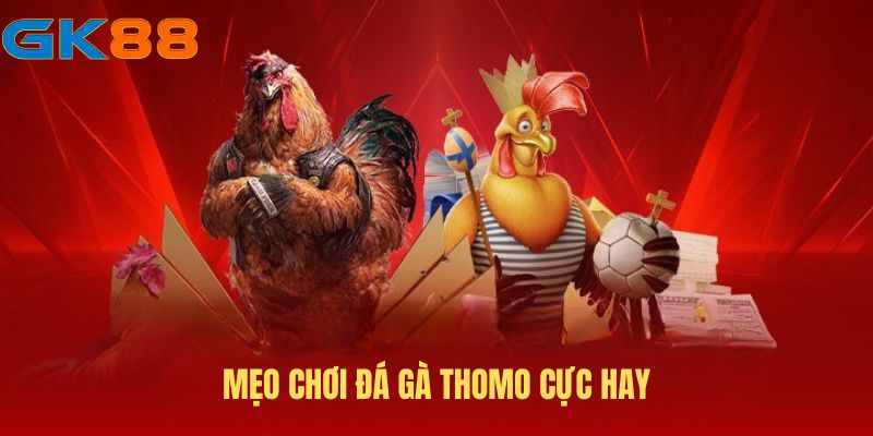 meo-choi-da-ga-thomo-gk88